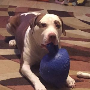 Meet your Posher, Gail